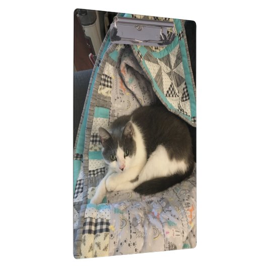 Porte-bloc Chat gris et blanc (Swatch)