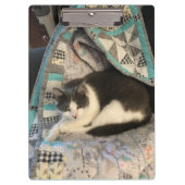 Porte-bloc Chat gris et blanc (Devant)