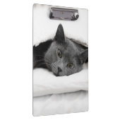 Porte-bloc Chat gris sous la couverture blanche (Swatch)