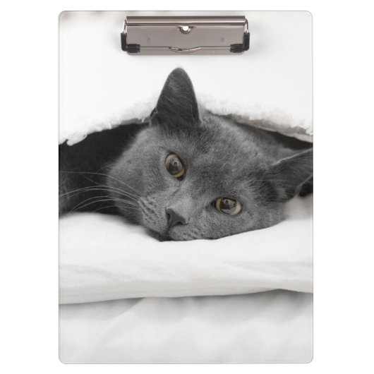 Porte-bloc Chat gris sous la couverture blanche (Devant)