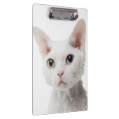 Porte-bloc Chat impair-eyed blanc 2 (Swatch)