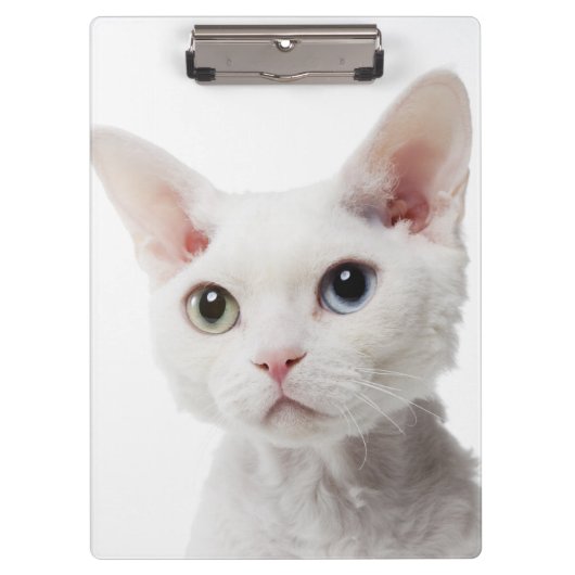 Porte-bloc Chat impair-eyed blanc 2 (Devant)