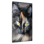 Porte-bloc Chat sibérien (Swatch)