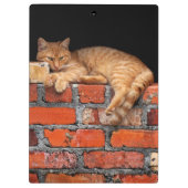 Porte-bloc Chat sur mur de brique (Dos)