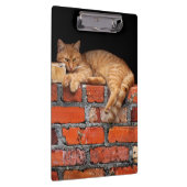Porte-bloc Chat sur mur de brique (Swatch)