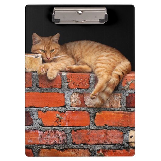Porte-bloc Chat sur mur de brique (Devant)