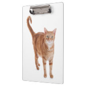Porte-bloc Chat Tabby Orange (Gauche)