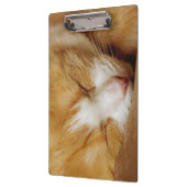 Porte-bloc Chaton couchant (Gauche)