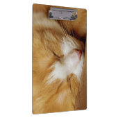 Porte-bloc Chaton couchant (Swatch)
