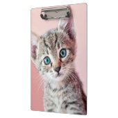 Porte-bloc Chaton mignon avec les yeux bleus (Gauche)