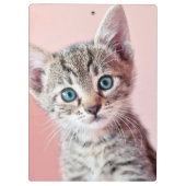 Porte-bloc Chaton mignon avec les yeux bleus (Dos)