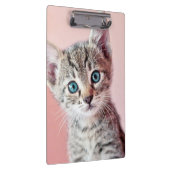 Porte-bloc Chaton mignon avec les yeux bleus (Swatch)