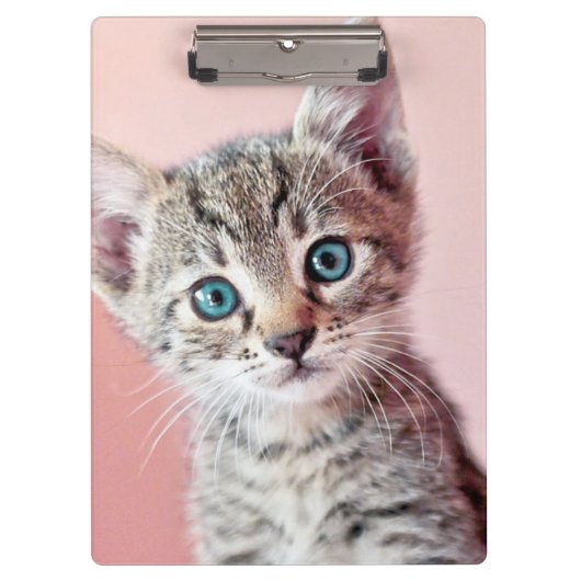Porte-bloc Chaton mignon avec les yeux bleus (Devant)