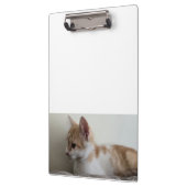 Porte-bloc Chaton roux et blanc (Gauche)