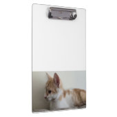 Porte-bloc Chaton roux et blanc (Swatch)