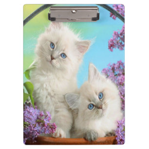 Porte-bloc Chatons/Porte - bloc