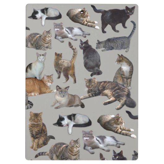 Porte-bloc Chats (Dos)