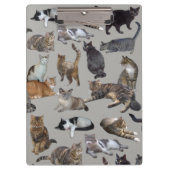 Porte-bloc Chats (Devant)