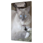 Porte-bloc Chatte Ragdoll (Gauche)