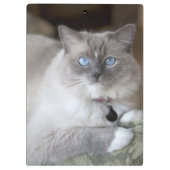 Porte-bloc Chatte Ragdoll (Dos)