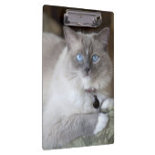 Porte-bloc Chatte Ragdoll (Swatch)