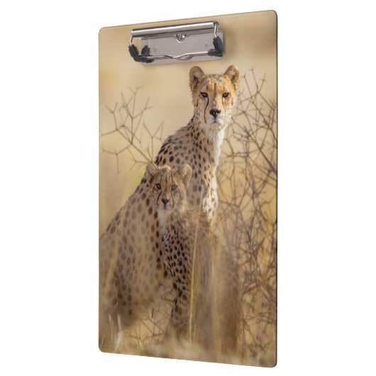 Porte-bloc Cheetahs (Gauche)