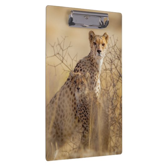 Porte-bloc Cheetahs (Swatch)