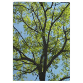 Porte-bloc Chêne de printemps Nature vivante (Dos)