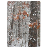 Porte-bloc Chênes couverts de neige hiver Photographie de la  (Dos)