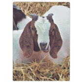 PORTE-BLOC CHÈQUE CUTE (Dos)