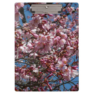 Porte-bloc Cherry Blossoms et Blue Sky Spring Floral