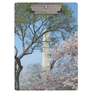 Porte-bloc Cherry Blossoms et le monument de Washington à DC