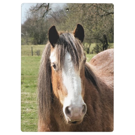 PORTE-BLOC CHEVAL (Dos)