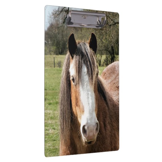 PORTE-BLOC CHEVAL (Swatch)