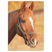 Porte-bloc Cheval (Dos)