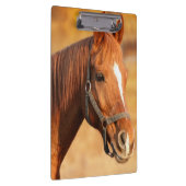 Porte-bloc Cheval (Swatch)