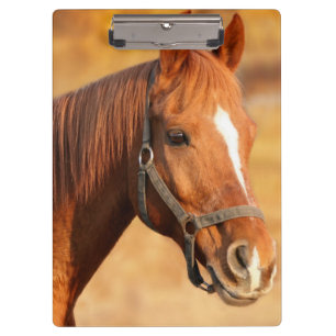 Porte-bloc Cheval