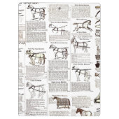 Porte-bloc Cheval Antique Publicité Journal Art (Dos)