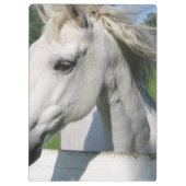 Porte-bloc Cheval blanc (Dos)
