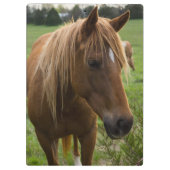 Porte-bloc Cheval Bonjour (Dos)
