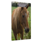 Porte-bloc Cheval Bonjour (Swatch)