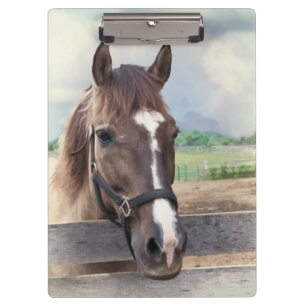 Porte-bloc Cheval Brown avec le licou