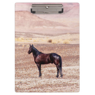 Porte-bloc Cheval du désert P8664
