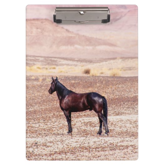 Porte-bloc Cheval du désert P8664 (Devant)