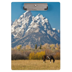 Porte-bloc Cheval et Grand Tetons, Moose Head Ranch