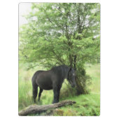 PORTE-BLOC CHEVAL NOIR (Dos)