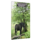 PORTE-BLOC CHEVAL NOIR (Swatch)