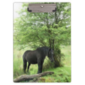 PORTE-BLOC CHEVAL NOIR (Devant)