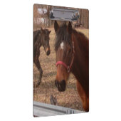 Porte-bloc Chevaux Brown (Swatch)
