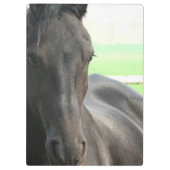 Porte-bloc Chevaux frisons (Dos)